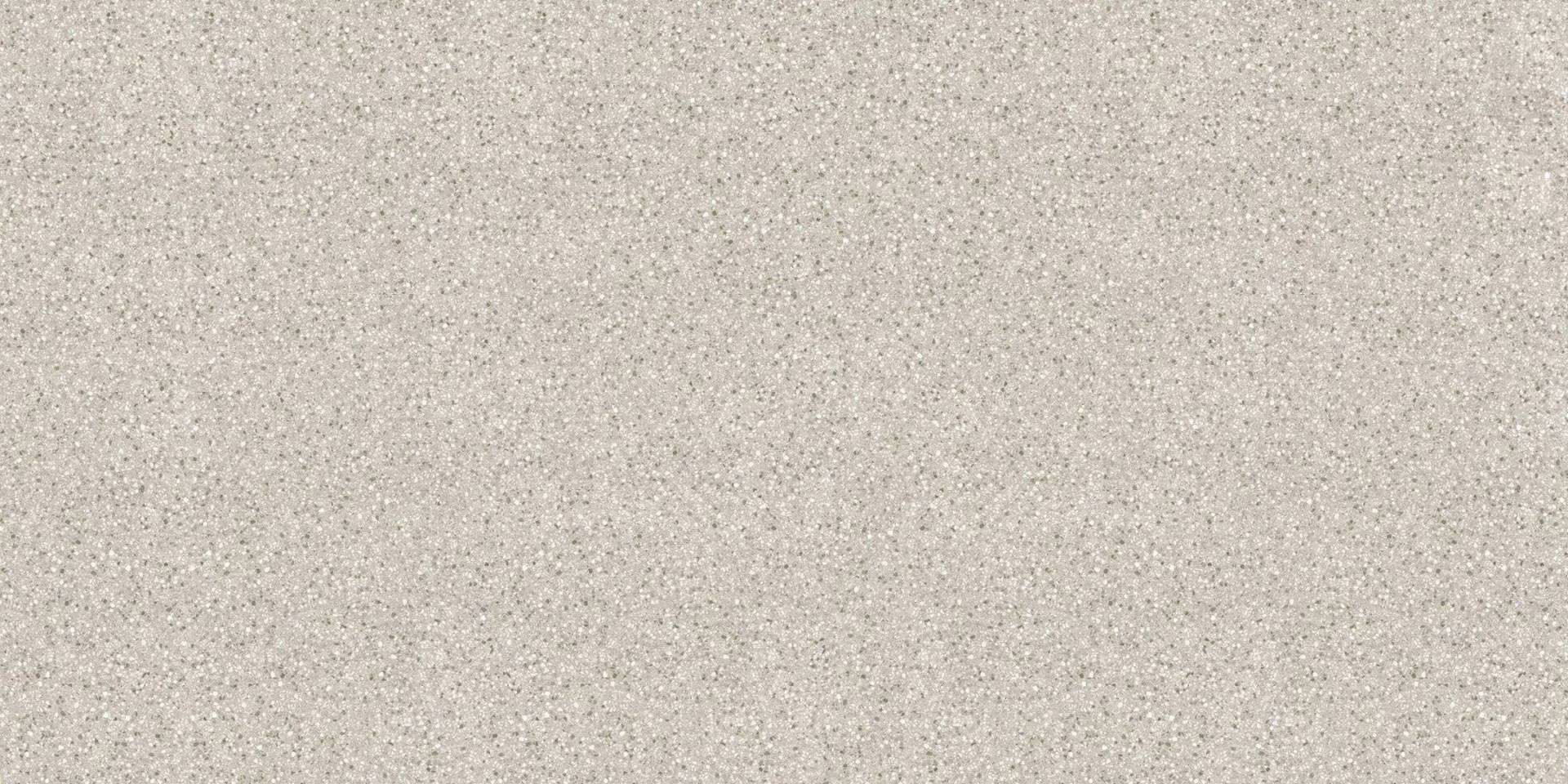 TERRAZZO-S-LIGHT-GREY-MATT-R9-60x120cm